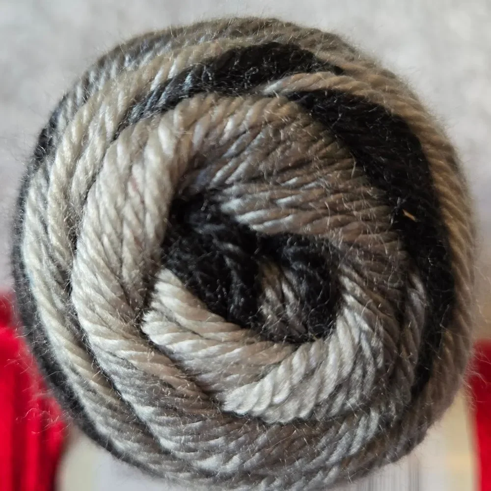 5 SkeiCaron Simply Soft Yarn- Black, Autumn Red, White, Stormy Weather
